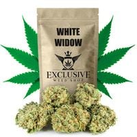 Susz konopny White Widow CBD Exclusive Weed 20g