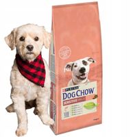 PURINA DOG CHOW SENSITIVE Adult Salmon Łosoś 14kg
