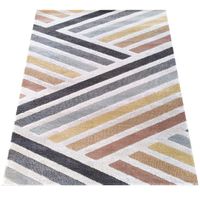 Dywan Ladon 03 200 x 290 cm wielokolorowy