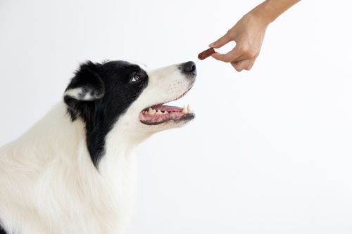 Kielbaski z kurczaka dla psa - przysmak naturalny 500g SNAPPY na Arena.pl