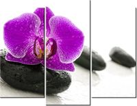 60 90CM OBRAZ 3 ELEM STORCZYK KAMIENIU ŚCIENNY DRUK PŁÓTNO