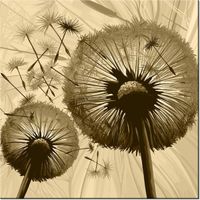 50CM 50CM OBRAZ DMUCHAWCE KREMOWYM TLE DRUK PŁÓTNO