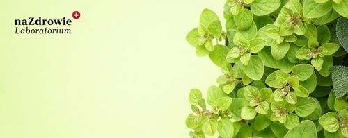 OLEJEK OREGANO FORTE 30ml z dzikiego oregano 90% karwakrolu 100% czysty na Arena.pl