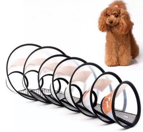 Kołnierz pooperacyjny dla psa obwód 21-24cm wys.13 na Arena.pl