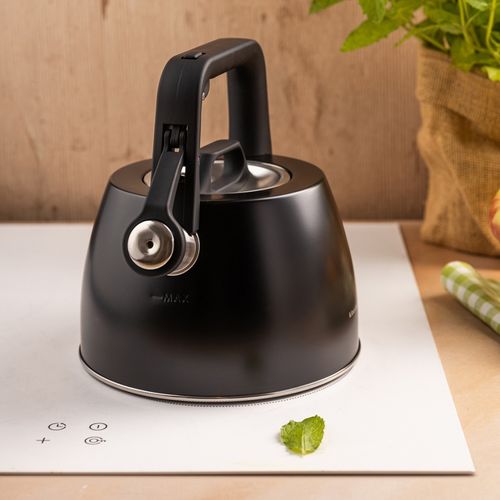 czajnik stalowy z gwizdkiem 2,5l klausberg kb-7915 na Arena.pl