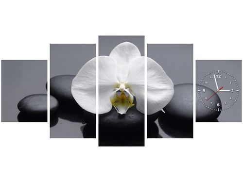 70CM 150CM ZEGAR 5 ELEM BIAŁY STORCZYK DRUK OBRAZ na Arena.pl