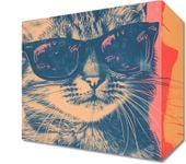 Obraz 20x20cm Trendsetter