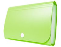 MINI ORGANIZER PP NA ZATRZASK ZIELONY TETIS