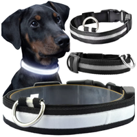 Obroża Dla Psa Kota 45cm Świecąca Taśma LED Mocna Regulowana Nylonowa M