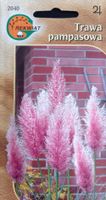 Trawa pampasowa różowa nasiona 0,1 g. nad wodę i suche bukiety