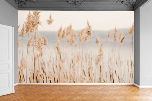 Fototapeta DMUCHAWCE TRZCINA ŁĄKOWA POLANA 200x130 na Arena.pl