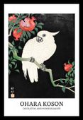 Plakat 20x30cm Design Cockatoo, Koson Vintage do Salonu