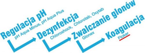 Preparat do basenu FLOKER na Arena.pl