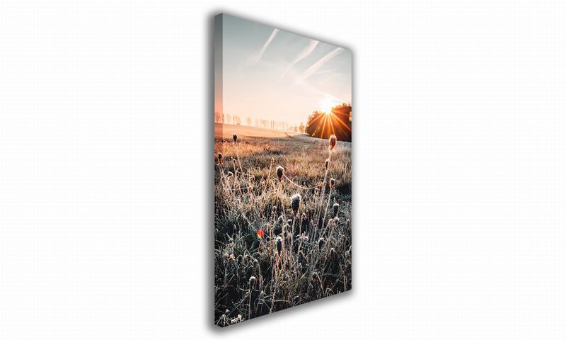 OBRAZ NA PŁÓTNIE 075 Oset 40x60cm zdjęcie 1