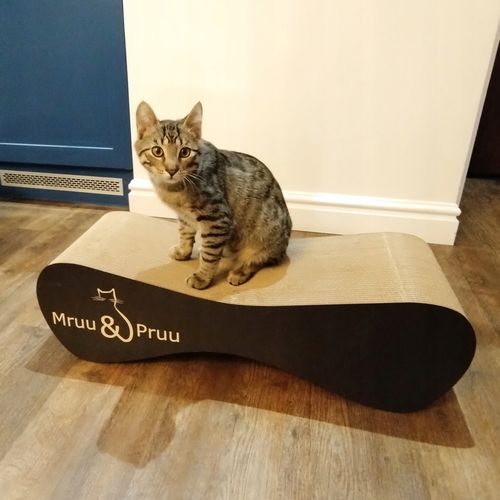 Drapak dla kota MIMI | czarny | 70x23x24 cm | MruuPruu na Arena.pl