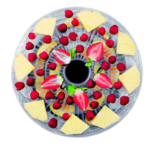 Suszarka do owoców Concept SO2020 Biała na Arena.pl