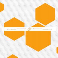 Nozevit mieszanka paszowa dla pszczół do ula pasieki Apivita 200 ml