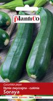 NASIONA Dynia Zwyczajna Cukinia Soraya 3g PLANTICO 401761