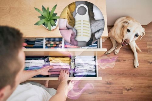 LAWENDOWA ZAWIESZKA ŚRODEK NA MOLE UBRANIOWE ODZIEŻOWE NO PEST (5 SZT) na Arena.pl