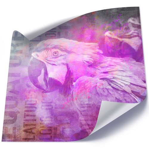 Plakat, Papuga, abstrakcja 40x40 na Arena.pl