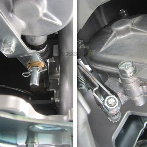 Kaaz LM 5360 HXAR na Arena.pl