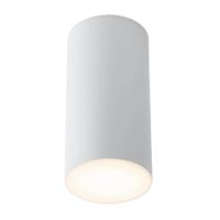 Tuba LAMPA plafon ARAO 7079 Shilo natynkowy downlight sufitowy biały