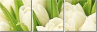 70 90CM OBRAZ 3 ELEM DELIKATNE TULIPANY ŚCIENNY DRUK PŁÓTNO