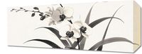 Obraz 50x20cm Orchidea