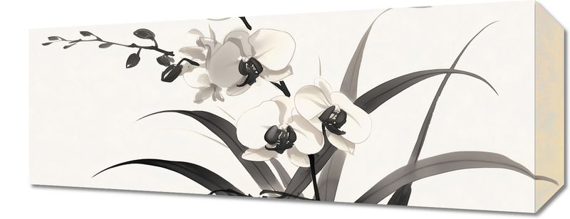 Obraz 50x20cm Orchidea zdjęcie 1