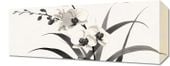 Obraz 50x20cm Orchidea