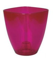 osłonka do storczyka 10 cm transparentna amarant