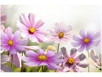 100 70CM OBRAZ PŁÓTNO DELIKATNE KWIATY PŁÓTNO RAMA