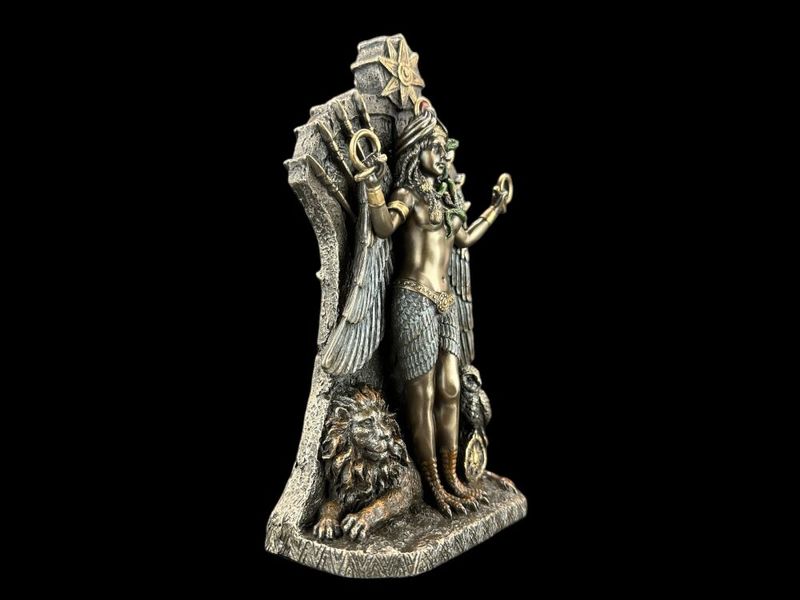 BOGINI WOJNY ISZTAR VERONESE WU77944A4 zdjęcie 3