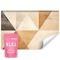 Fototapeta Minimalistyczne Trójkąty Styl Japandi Abstrakcja 360cm x 240cm