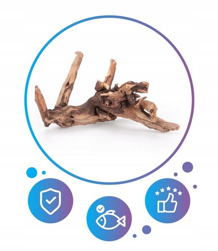 NATURALNY KORZEŃ DO AKWARIUM DESERT ROZMIAR M 20CM na Arena.pl