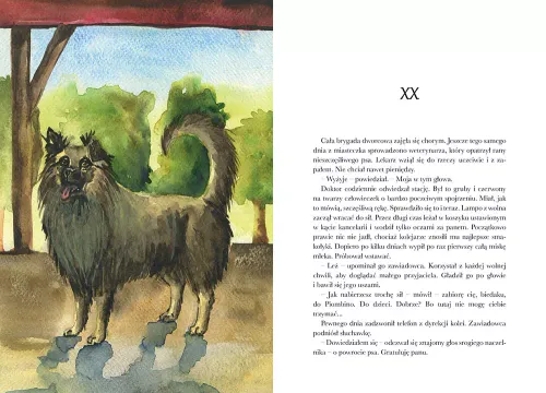 O Psie, Który Jeździł Koleją na Arena.pl