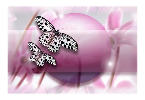 Fototapeta - Fly, Butterfly! 400x270 na Arena.pl