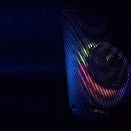 Głośnik karaoke SQUEAK Beatflow Bluetooth 5.0 + EDR na Arena.pl