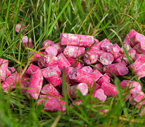 BARDZO SILNA TRUTKA NA SZCZURY I MYSZY GRANULAT BROMADIOLON STRONG 3KG na Arena.pl