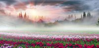 FOTOTAPETA TULIPANY GÓRY SŁOŃCE PIĘKNE SALON