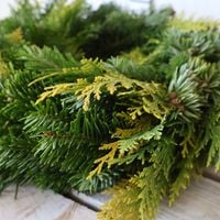 product-compare-61546813