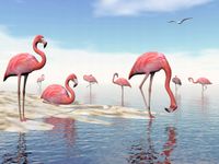 FOTOTAPETA ZWIERZĘTA NATURA RÓŻOWE FLAMINGI WODA