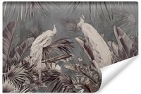 product-compare-54641718