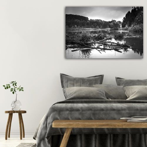Deco Panel, Powalone drzewo w jeziorze 2 60x40 na Arena.pl