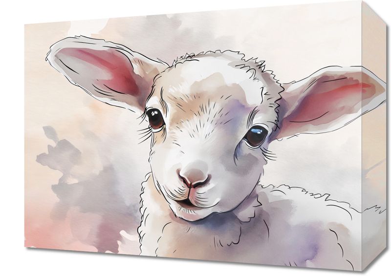 Obraz 40x30cm Mała Owieczka zdjęcie 1