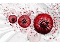 120CM 80CM OBRAZ ŚCIENNY CZERWONE DMUCHAWCE 5