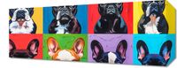Obraz 50x20cm Buldogi Francuskie