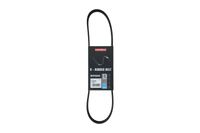 PASEK MICRO-V 6 PK 800 FIAT STILO 2004 2005 2006 2007 2008