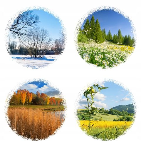 KULE TŁUSZCZOWE DLA PTAKÓW KARMA POKARM ZE SŁONECZNIK ZIARNO 30 SZTUK na Arena.pl