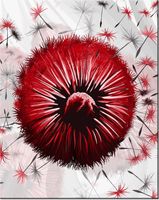 40CM 50CM OBRAZEK ŚCIENNY CZERWONE DMUCHAWCE 5 DRUK PŁÓTNO OBRAZ